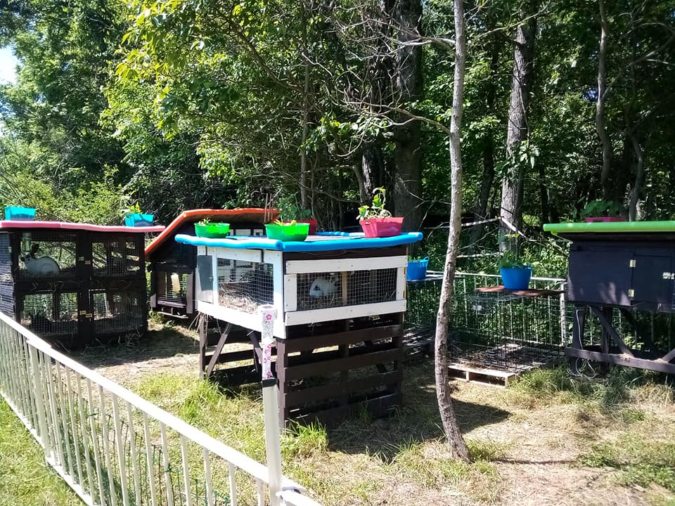 Bunnyville Village Layout showing elevated hutches and rooftop planter gardens