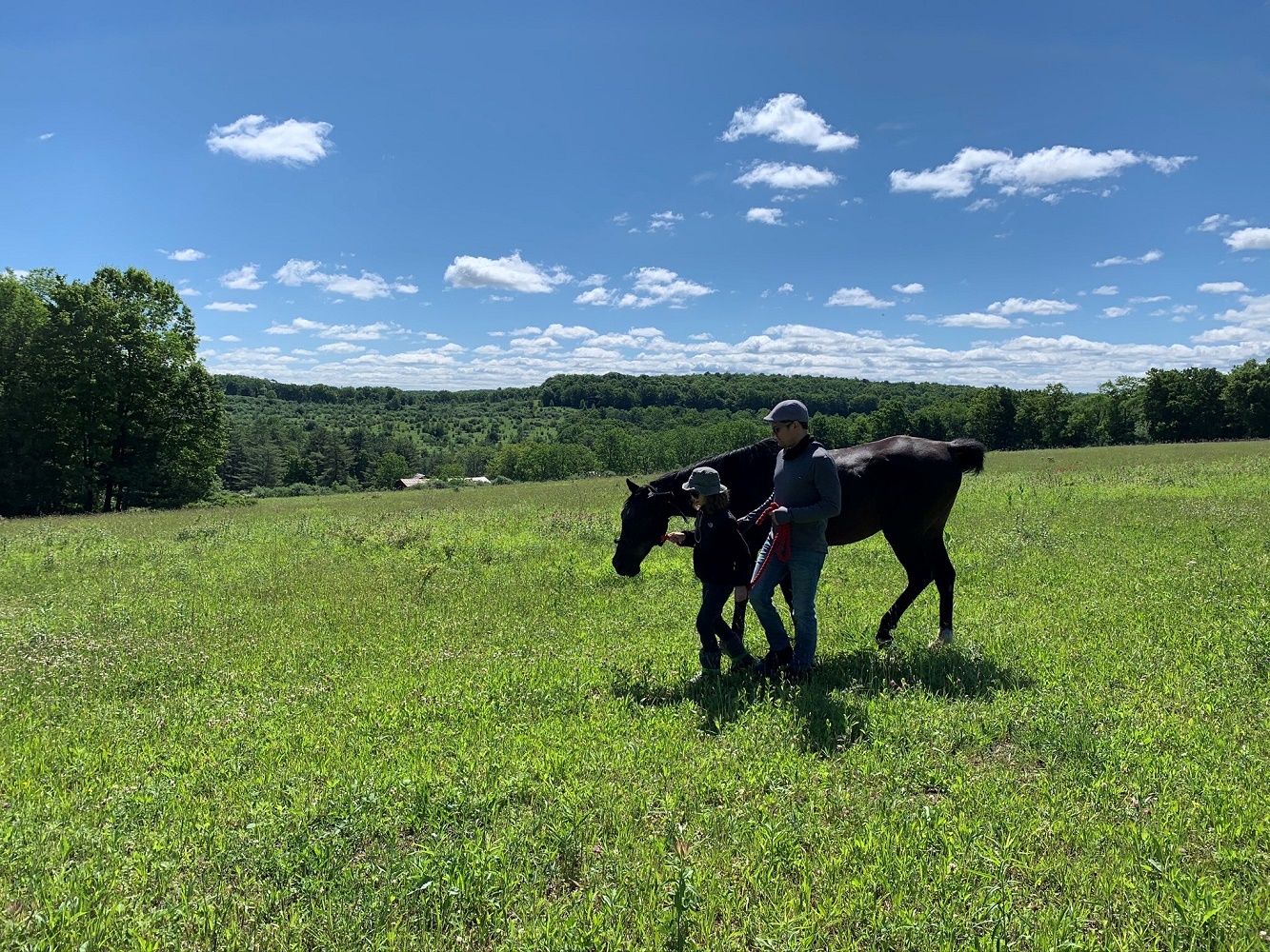 horse program in the USA